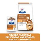 Hill's Prescription Diet Kidney Mobility Frango ração gatos, , large image number null